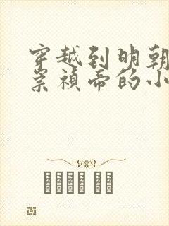 穿越到明朝成为崇祯帝的小说封面