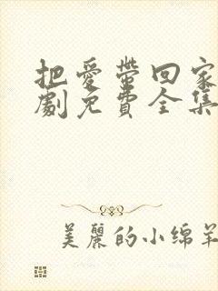 把爱带回家电视剧免费全集播放