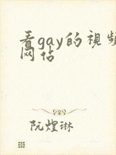 看gay的视频网站
