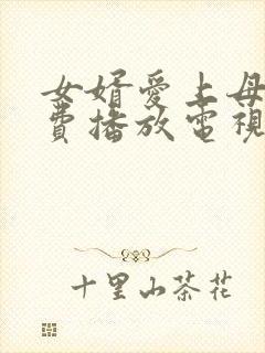 女婿爱上母娘免费播放电视剧剧情封面