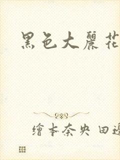黑色大丽花图片封面