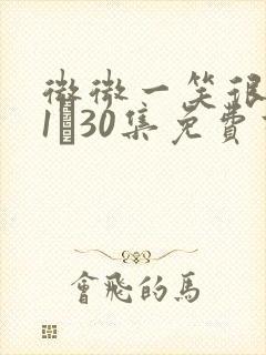 微微一笑很倾城1―30集免费高清封面