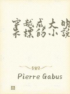 穿越成大明太子朱标的小说