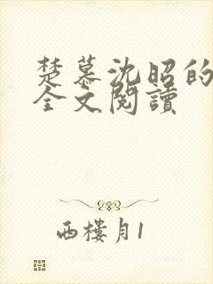 楚慕沈昭的小说全文阅读