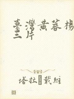 台湾黄蓉杨贵妃三片封面