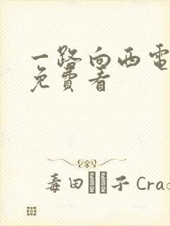 一路向西电视剧免费看