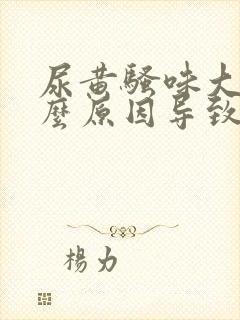 尿黄骚味大是什么原因导致的