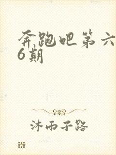 奔跑吧第六季第6期