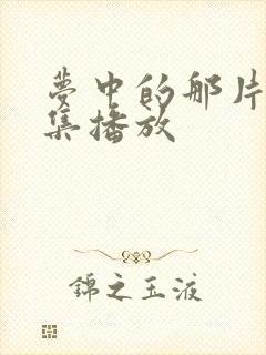 梦中的那片海全集播放