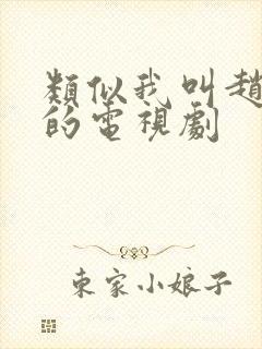 类似我叫赵出息的电视剧