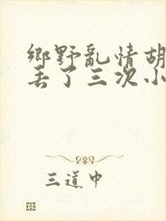 乡野乱情胡秀英丢了三次小说封面