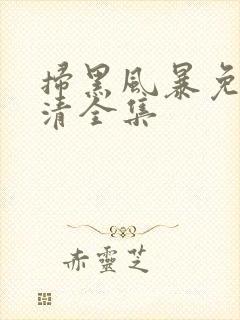 扫黑风暴免费高清全集