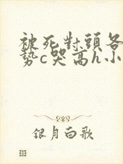 被死对头各种姿势c哭高h小说