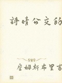 诗晴公交的小说