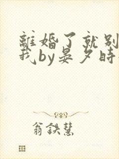 离婚了就别来惹我by晏夕时全文阅读