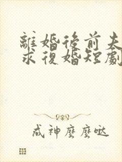 离婚后前夫跪地求复婚短剧