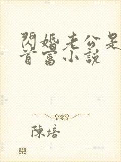 闪婚老公是千亿首富小说