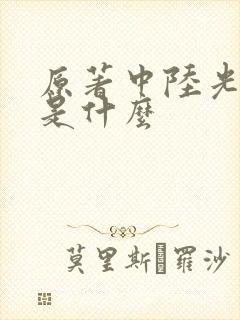 原著中陆光结局是什么