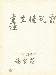 重生后我宠夫灭渣