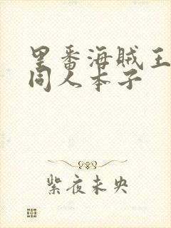 里番海贼王蕾玖同人本子