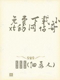 免费下载小说txt的网站奇书网