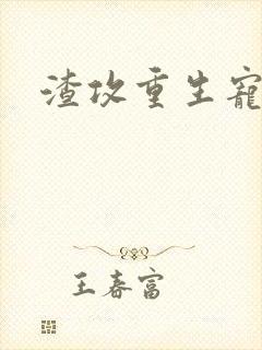 渣攻重生宠夫记