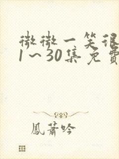 微微一笑很倾城1～30集免费