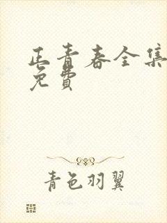 正青春全集观看免费