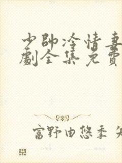 少帅冷情妻电视剧全集免费观看高清