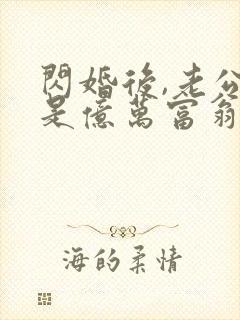 闪婚后,老公竟是亿万富翁txt