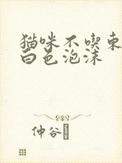 猫咪不吃东西吐白色泡沫