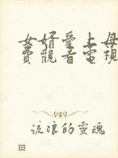 女婿爱上母娘免费观看电视剧第24集