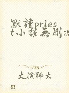 默读priest小说无删减正版在线阅读
