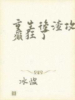 重生后渣攻为我癫狂了封面