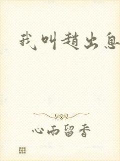 我叫赵出息全集