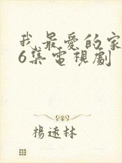 我最爱的家人46集电视剧封面