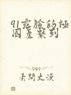 91露脸的极品国产系列