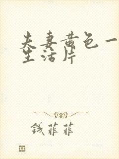 夫妻黄色一级性生活片封面