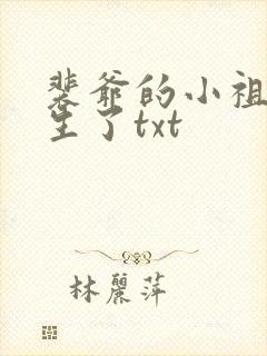 裴爷的小祖宗重生了txt