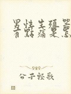 男性生殖器小便有点痛是怎么回事