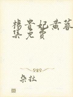 杨贵妃黄蓉版全集免费封面