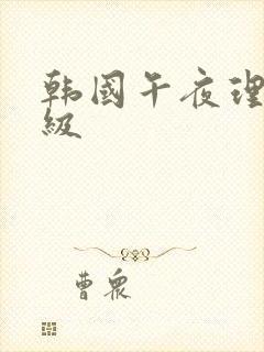 韩国午夜理论三级