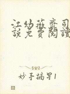 江幼薇齐司年小说免费阅读最新章节封面