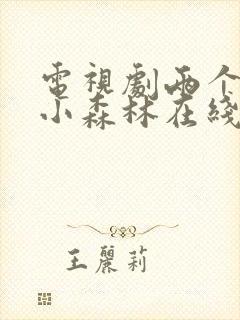 电视剧两个人的小森林在线免费观看封面