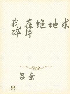 我在绝地求生捡碎片封面