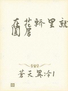 在花轿里就开始圆房