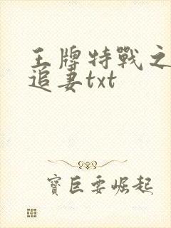 王牌特战之军少追妻txt