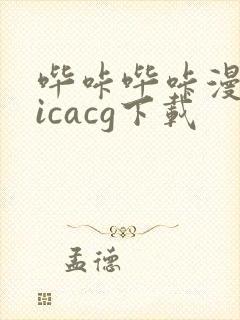 哔咔哔咔漫画picacg下载