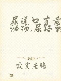 尿道口有黄色分泌物,尿路刺痛