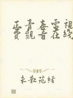 正青春电视剧免费观看在线封面